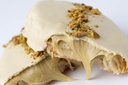 PalmeRita Pistacho